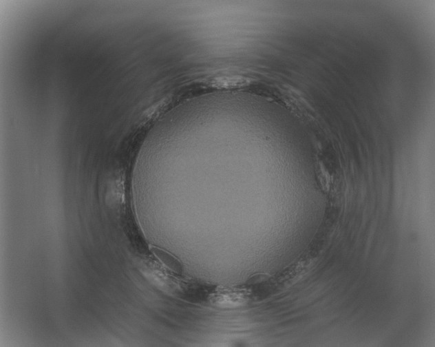 X0000062620368200601041011