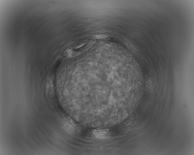 X0000062620373200601041011