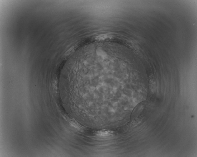 X0000062620375200601041011