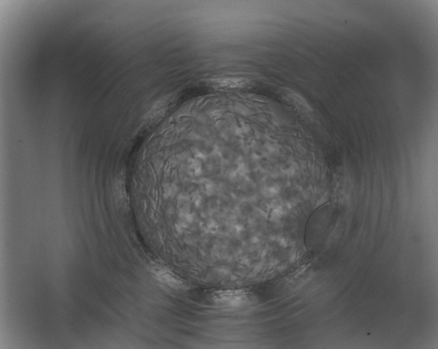 X0000062620377200601041011