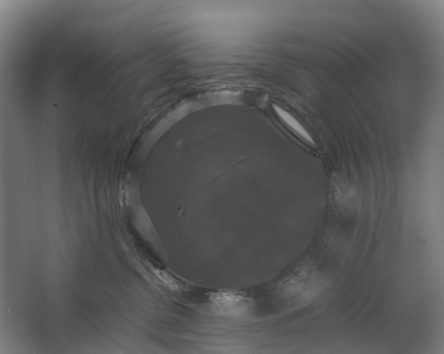 X0000062620380200601041011