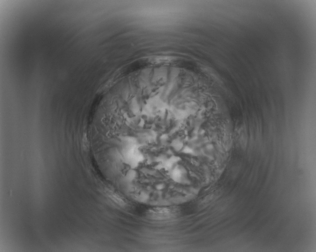 X0000062620381200601041011