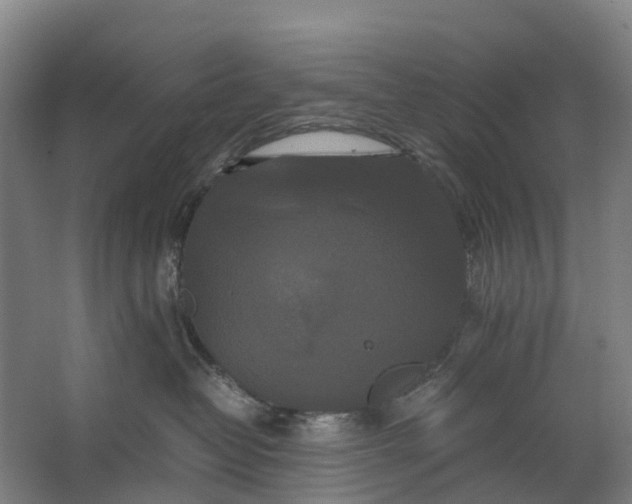 X0000062620382200601041011