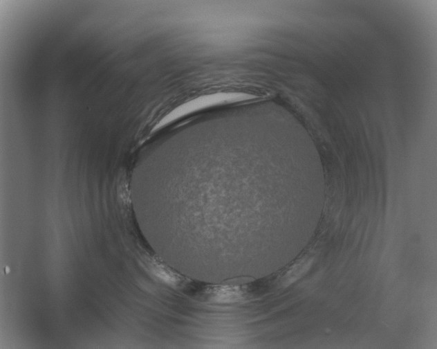 X0000062620384200601041011