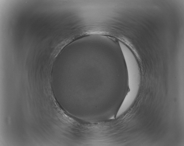 X0000062620385200601041011