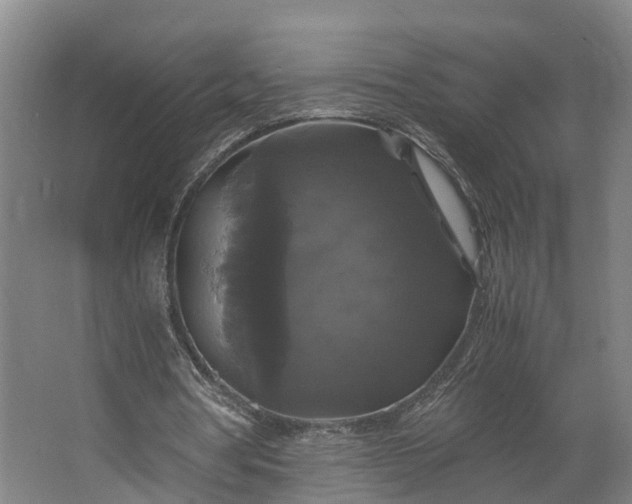 X0000062620386200601041011