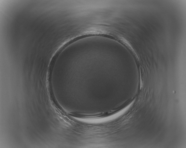 X0000062620387200601041011