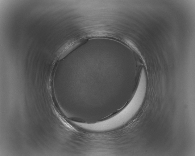 X0000062620389200601041011