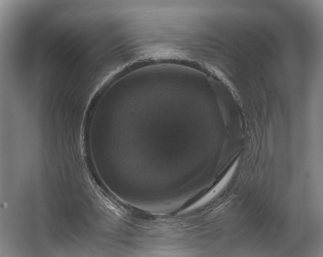 X0000062620391200601041011