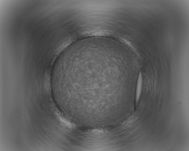 X0000062620394200601041010