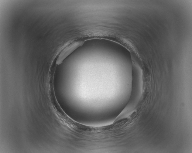 X0000062620395200601041010