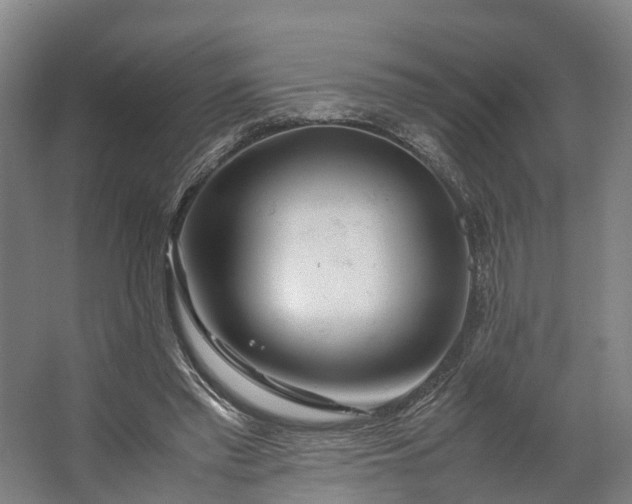 X0000062620397200601041010