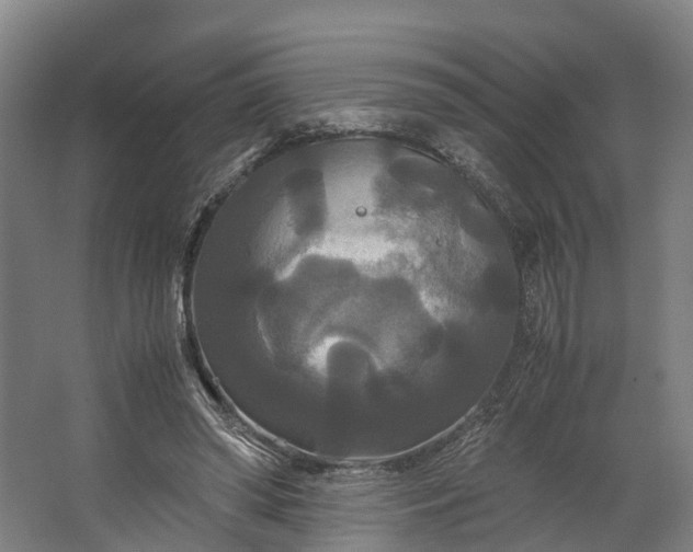 X0000062620398200601041010