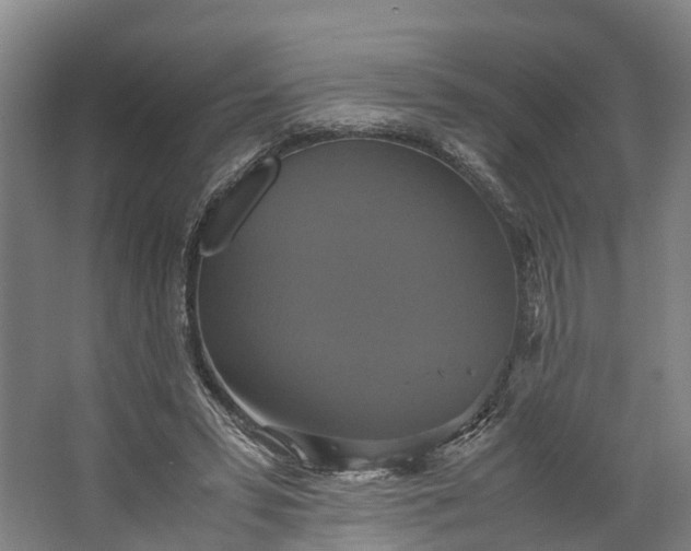 X0000062620399200601041010