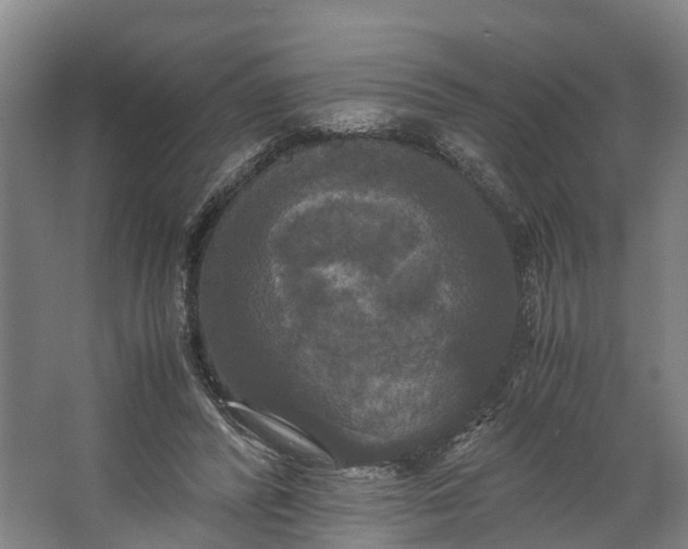 X0000062620400200601041010