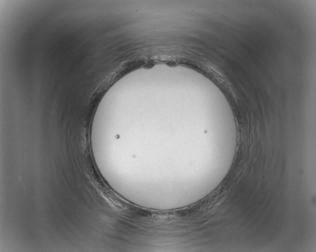 X0000062620401200601041010