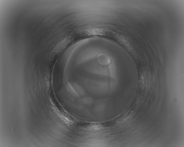 X0000062620402200601041010