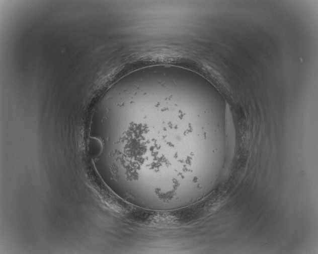 X0000062620403200601041010