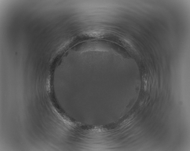 X0000062620404200601041010