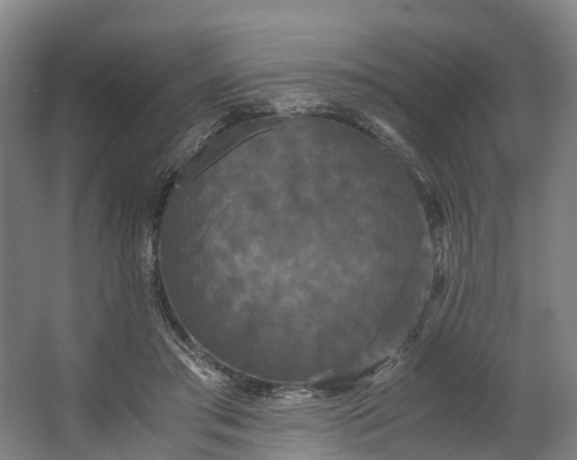 X0000062620405200601041010