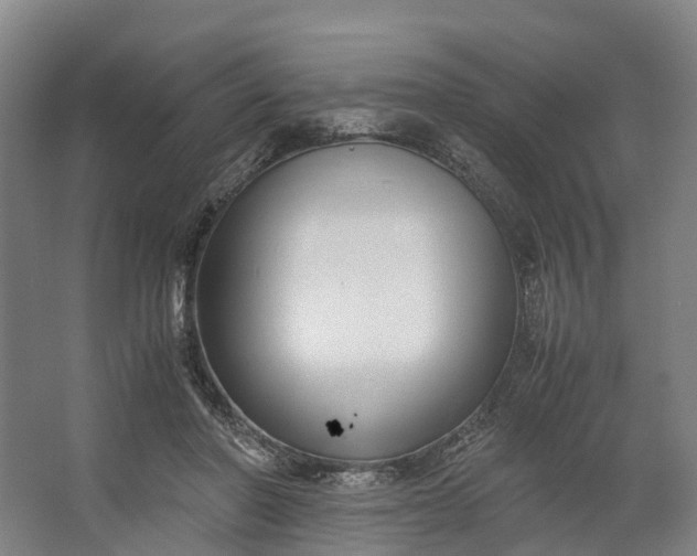 X0000062620406200601041010