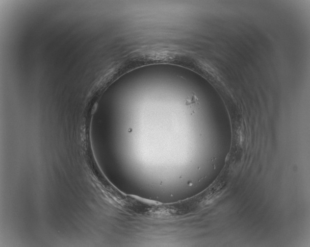 X0000062620407200601041010