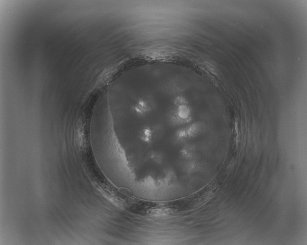 X0000062620408200601041010