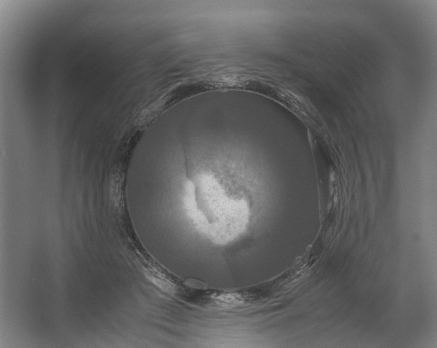 X0000062620409200601041010