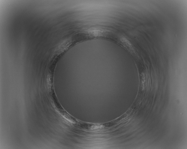 X0000062620410200601041010