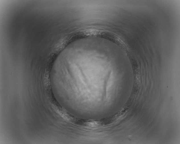 X0000062620411200601041010