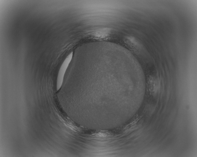 X0000062620412200601041010