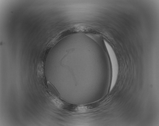 X0000062620413200601041010