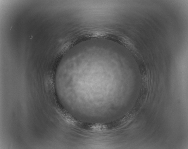 X0000062620415200601041010