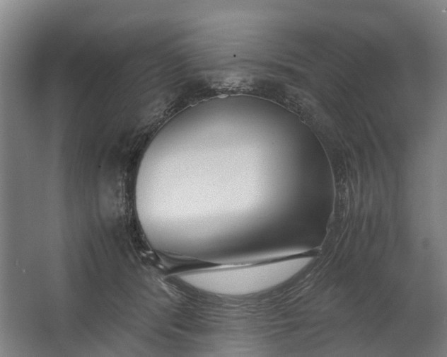 X0000062620416200601041010