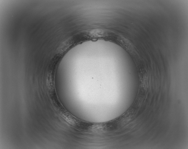 X0000062620418200601041010