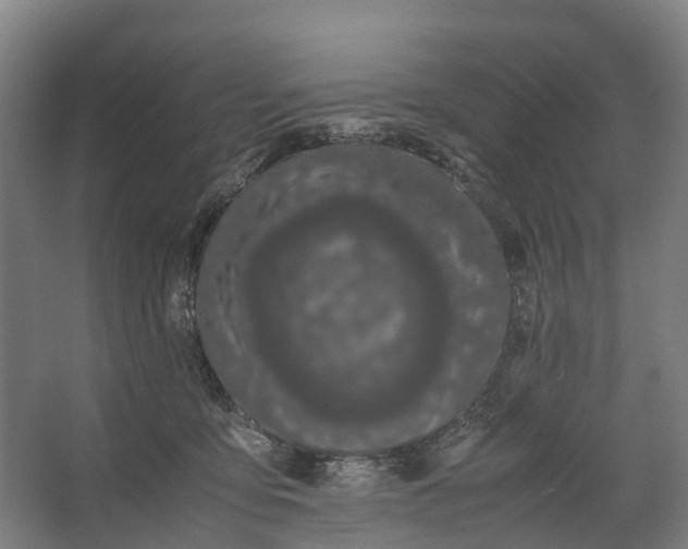 X0000062620419200601041010