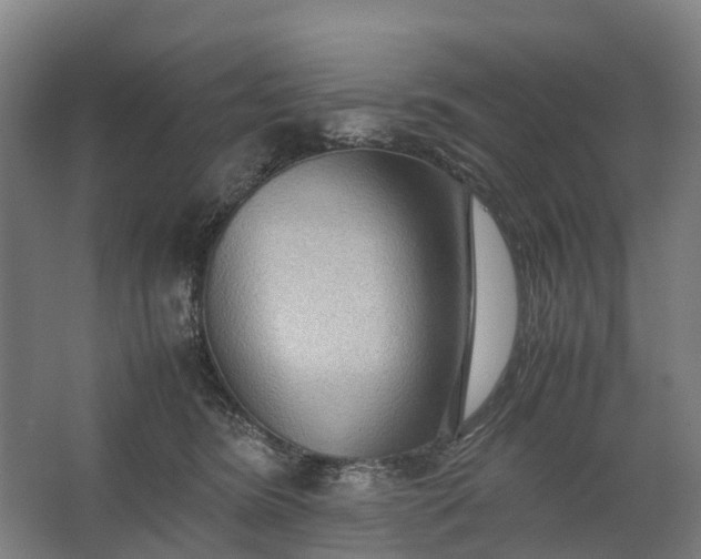 X0000062620420200601041010