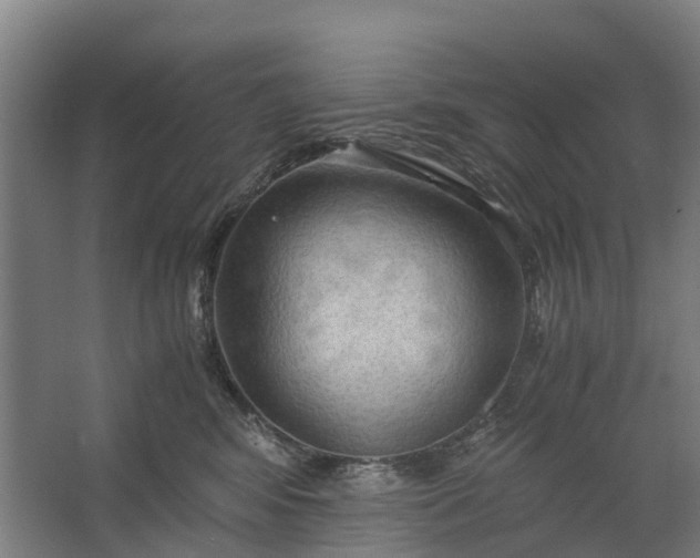 X0000062620424200601041010