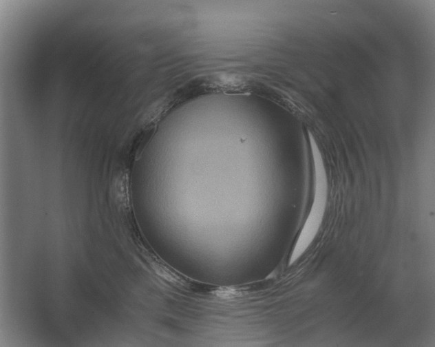 X0000062620425200601041010