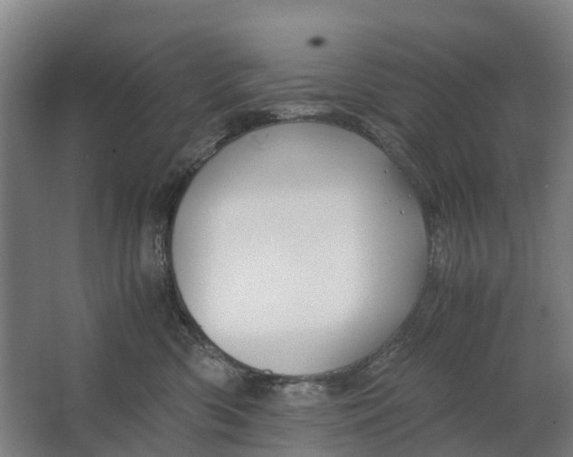 X0000062620426200601041010