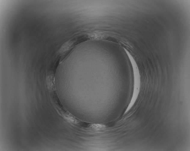 X0000062620429200601041010