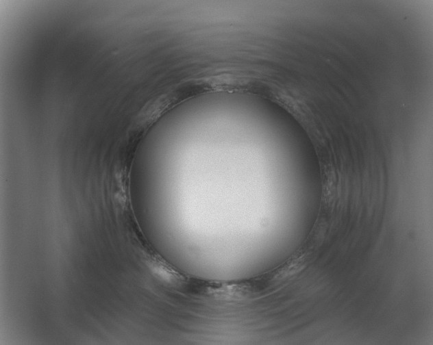 X0000062620430200601041010