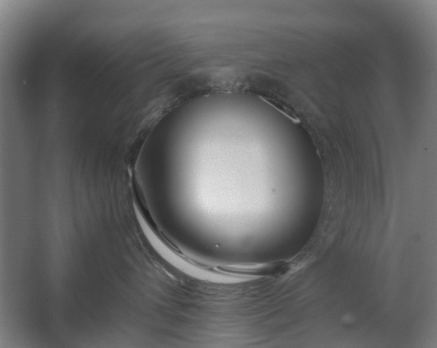 X0000062620432200601041010