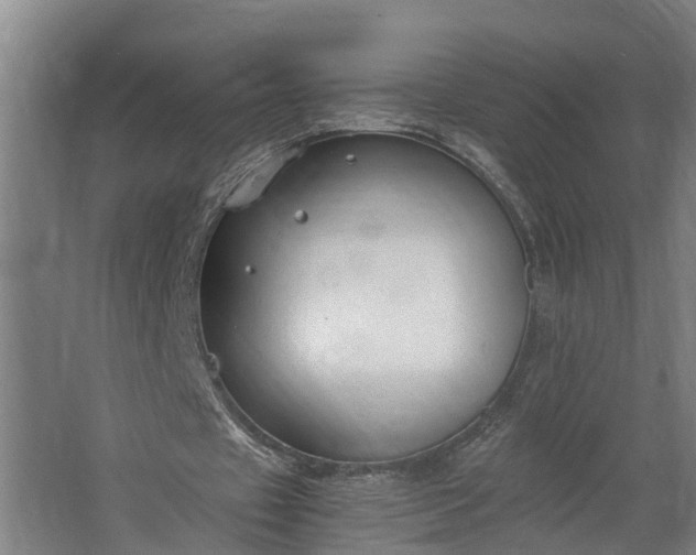 X0000062620433200601041009