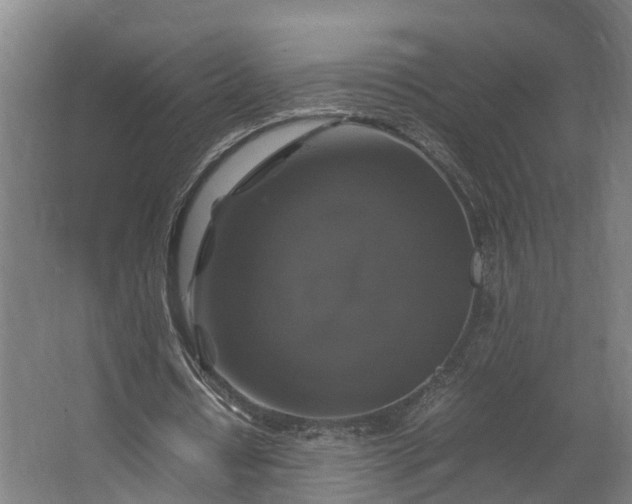 X0000062620434200601041009