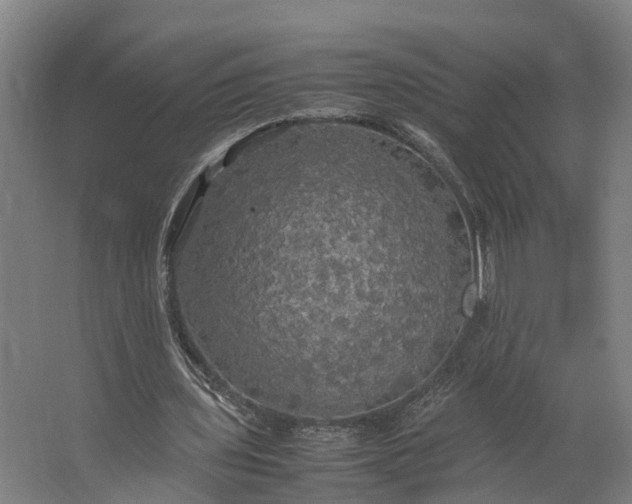 X0000062620435200601041009