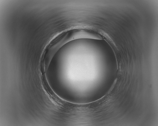 X0000062620436200601041009