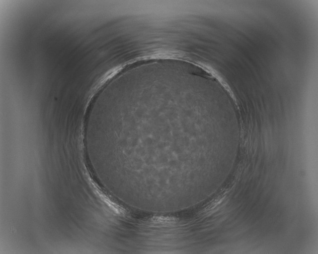 X0000062620437200601041009