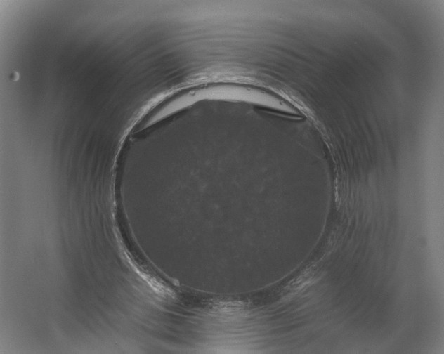 X0000062620438200601041009