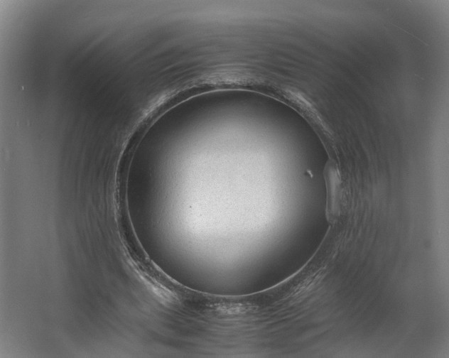 X0000062620439200601041009